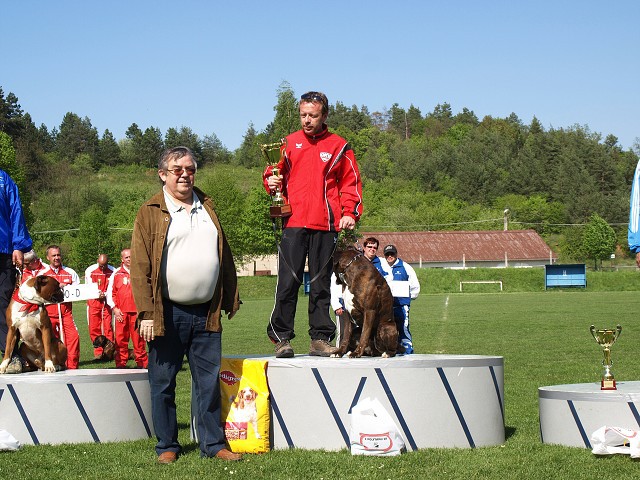 www.atibox.net * www.euroboxer.eu * www.boxergenealogia.eu